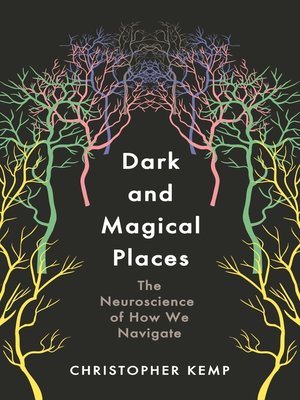 cover image of Dark and Magical Places